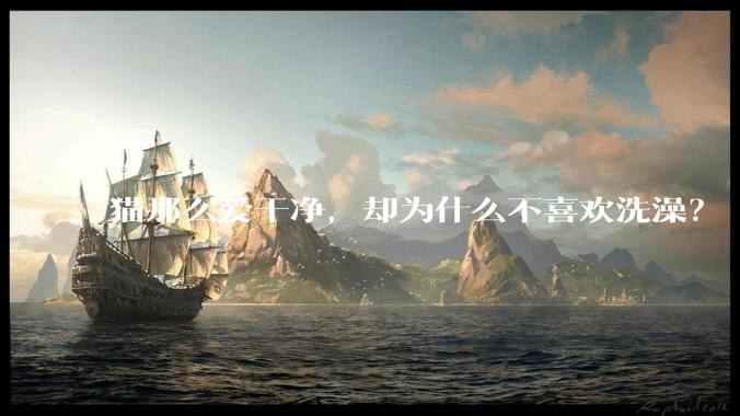 猫那么爱干净，却为什么不喜欢洗澡？