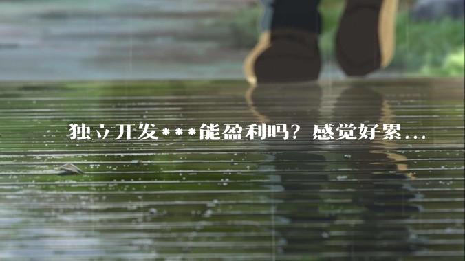 独立开发***能盈利吗？感觉好累...