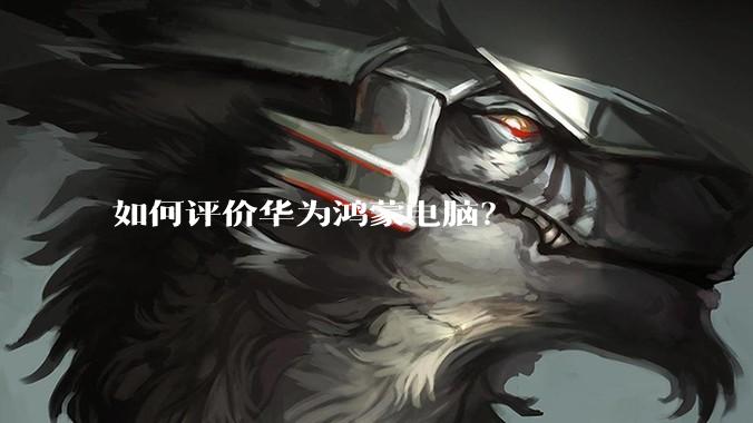 如何评价华为鸿蒙电脑？