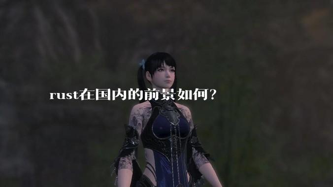rust在国内的前景如何？