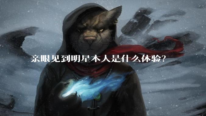 亲眼见到明星本人是什么体验？