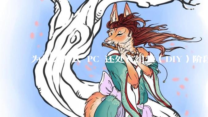 为什么台式 PC 还处在组装（DIY）阶段？