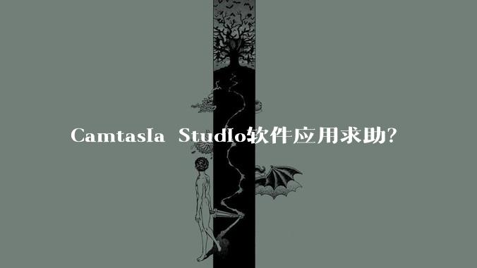 Camtasia Studio软件应用求助？