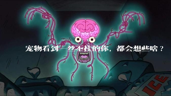 宠物看到一丝不挂的你, 都会想些啥?