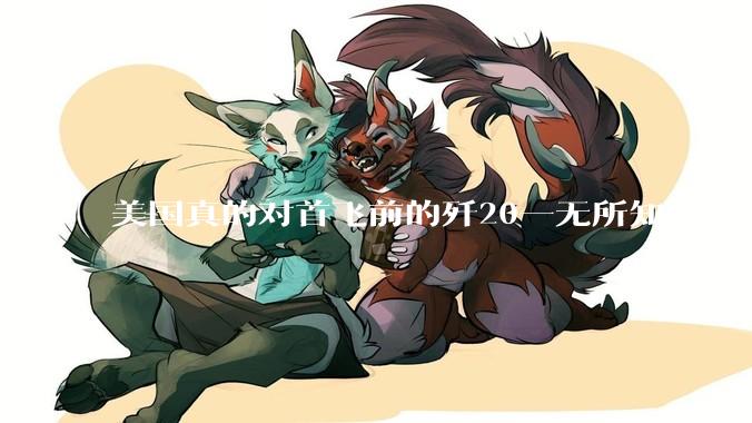美国真的对首飞前的歼20一无所知吗？