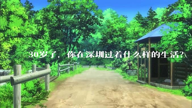 30岁了，你在深圳过着什么样的生活？