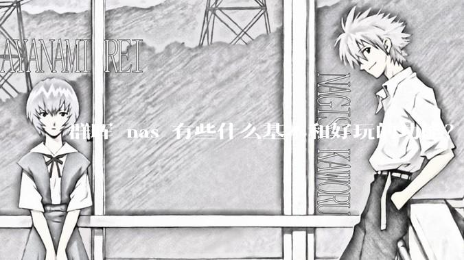 群晖 nas 有些什么基本和好玩的功能？