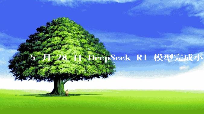 5 月 28 日 DeepSeek R1 模型完成小版本试升级并开源，具体有哪些提升？使用体验如何？