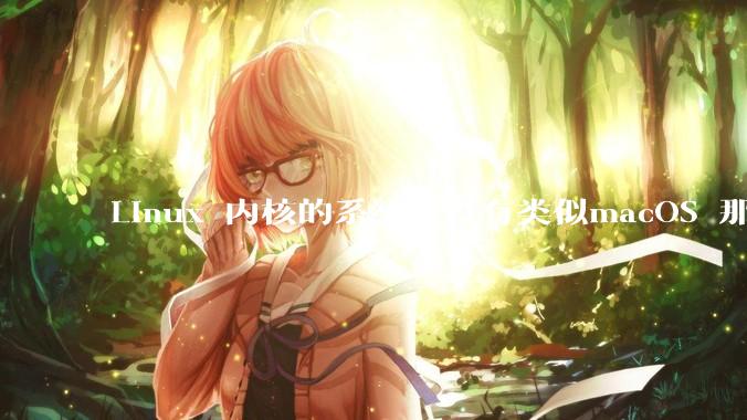 Linux 内核的系统有没有类似macOS 那样漂亮流畅的桌面环境的发行版本?