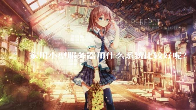 家用小型服务器用什么系统比较好呢？