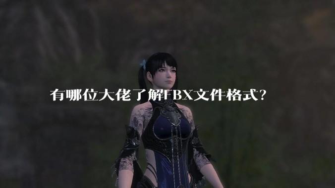 有哪位大佬了解FBX文件格式？