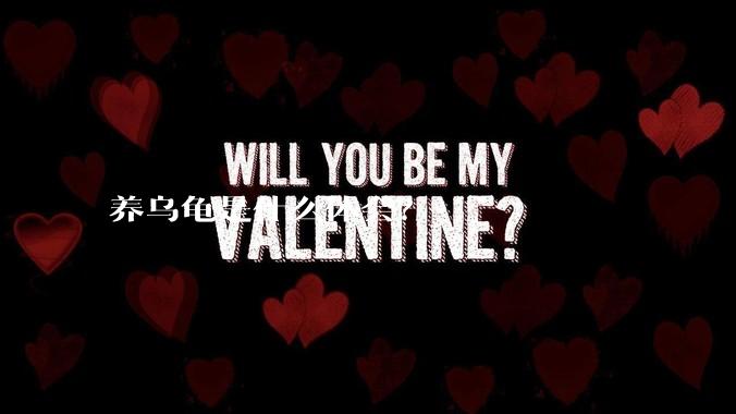 养乌龟是什么体会？