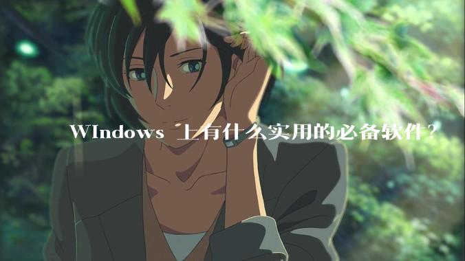 Windows 上有什么实用的必备软件？