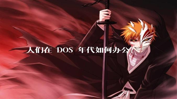 人们在 DOS 年代如何办公？