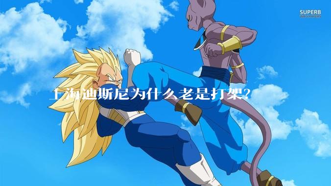 上海迪斯尼为什么老是打架？