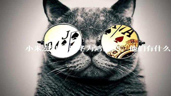 小米澎湃OS和华为鸿蒙OS，他们有什么不一样，谁更有发展前途？