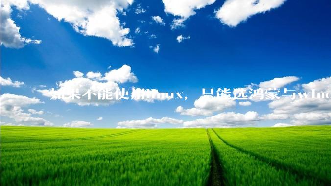 如果不能使用linux，只能选鸿蒙与windows，你会选哪个？