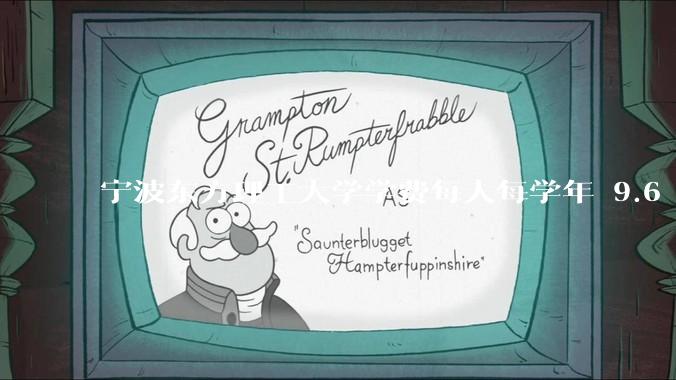 宁波东方理工大学学费每人每学年 9.6 万，为什么会这么贵？